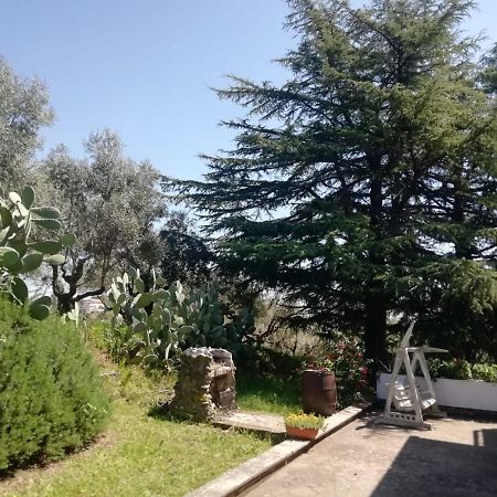 Appartement La Campagna Di Rosy à Genzano di Roma Extérieur photo