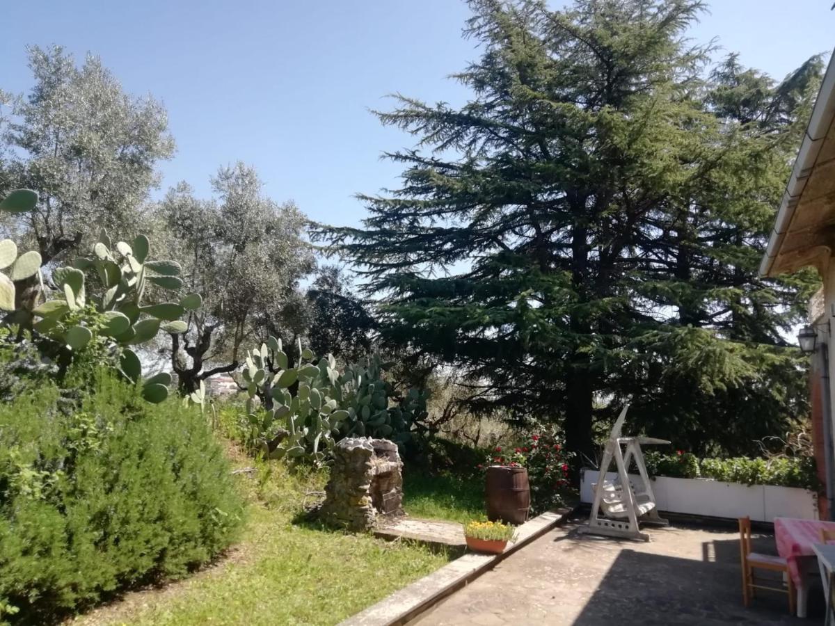 Appartement La Campagna Di Rosy à Genzano di Roma Extérieur photo